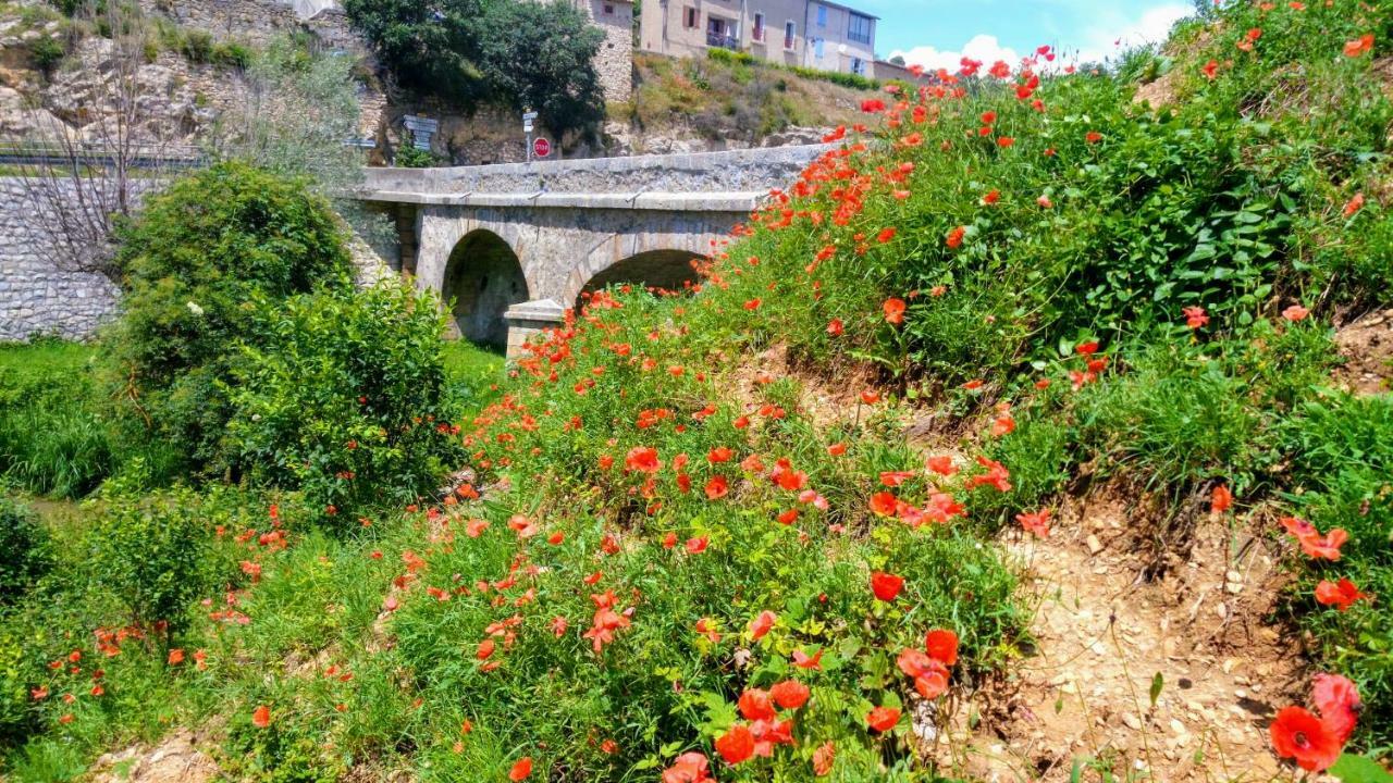 דירות Saint-Martin-de-Brômes Chez Gilles Math מראה חיצוני תמונה